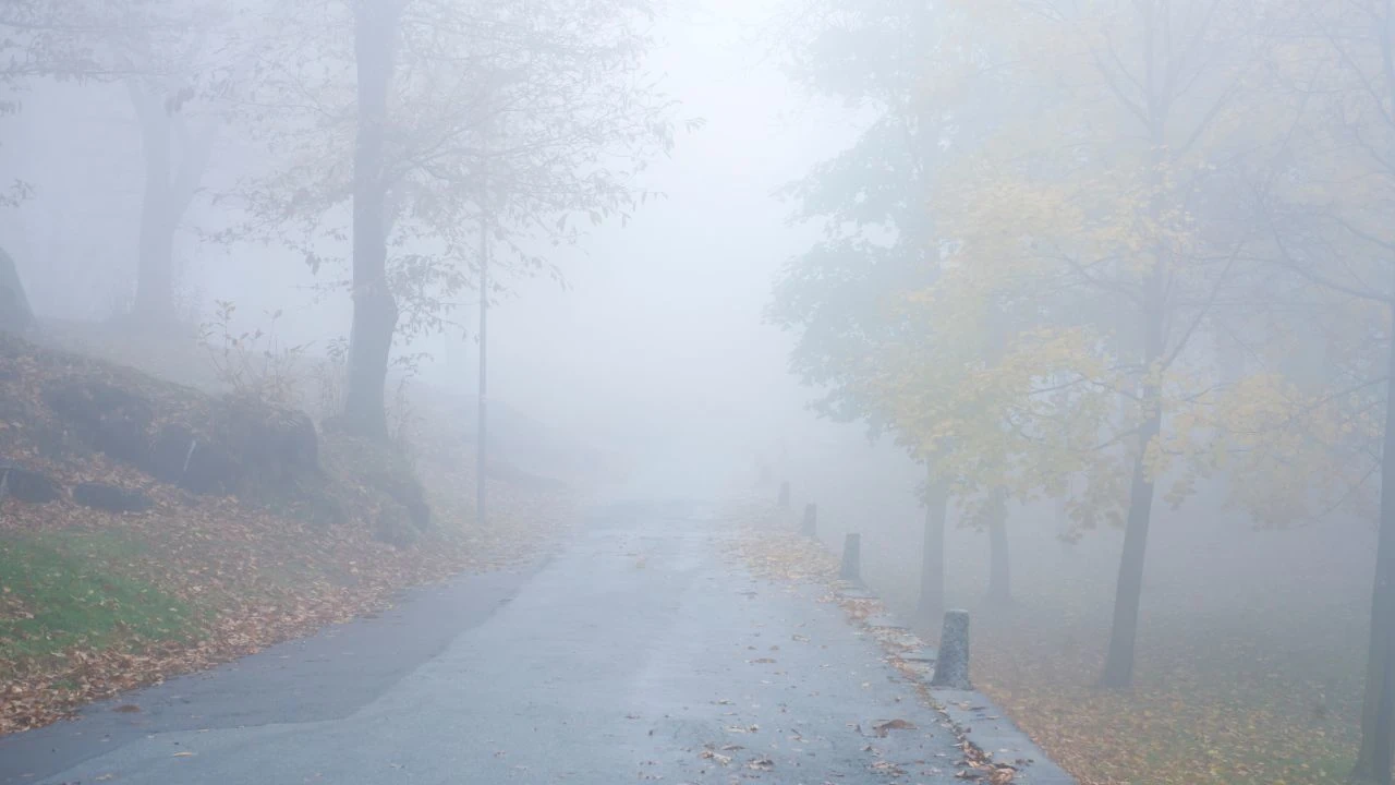 Coopleity model first step